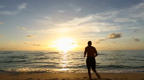 Sunrise Swimmer 스톡 동영상 41792717