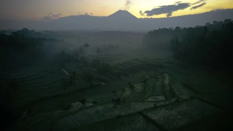 Sunrise Terraced Field and Mountain Stock Footage 239727111