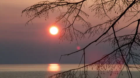 Sunrise through branches over lake superior Stock-Footage 40450728
