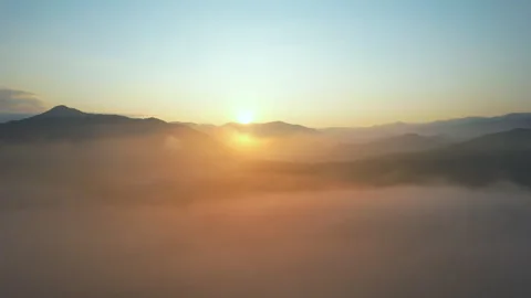 Sunrise through Fog Stock Footage 276130445