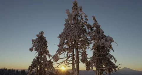 Sunrise Through Frozen Trees On Winter Snow Landscape Red Dragon Camera 스톡 동영상 59676799
