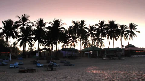 Sunrise through palm trees, Time Laps Video stock 37345678