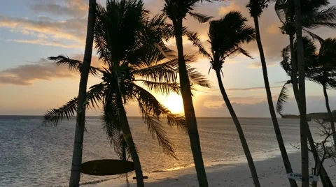 Sunrise through the palms Stock Footage 62710383