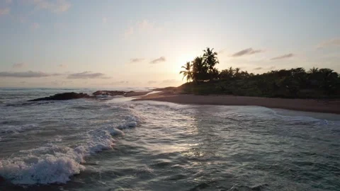 Sunrise through palms, pull back, Cape Coast, Ghana Video stock 229105746