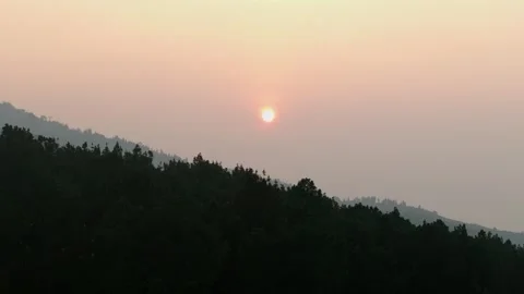 Sunrise Through Pine Trees | Morning Light Reveal Shot Stock Footage 281360973