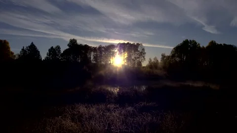 Sunrise Through Trees Stock Footage 249837760