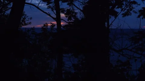 Sunrise Through Trees Stock Footage 253910163