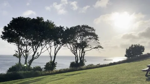 Sunrise through trees over coastal clifftop on sunny summers morning in Devon Stock Footage 246475743