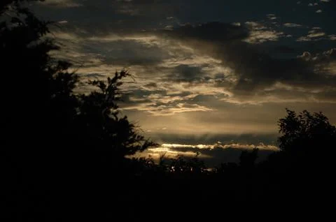 Sunrise through the trees Stock Photos