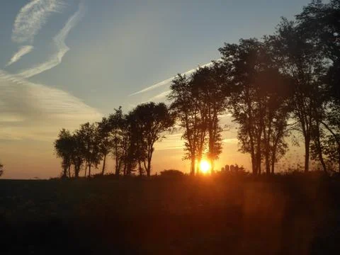 Sunrise through the trees Stockfoto's