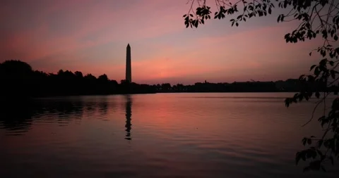 Sunrise at the Tidal Basin Stock Footage 137214474