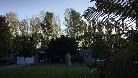 Sunrise Time Lapse Behind Trees Video stock 80533625