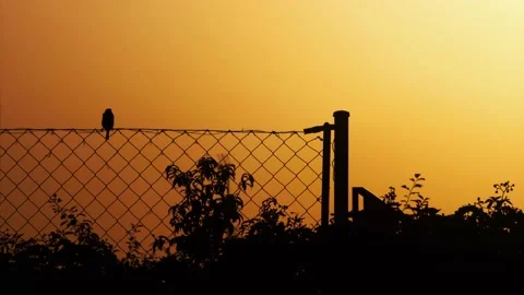 Sunrise time lapse Stock Footage 143778895