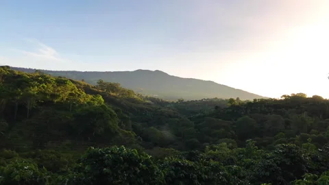 Sunrise Time Lapse Stock-Footage 278278820