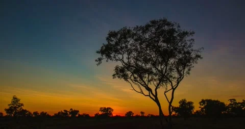 Sunrise Time Lapse outback Western Australia Video stock 140633338