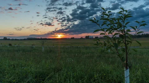 Sunrise time-lapse over a field. Stock Footage