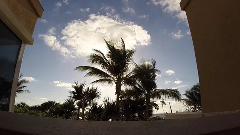 Sunrise time lapse palm trees Stock Footage 76285010