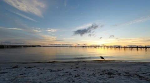 Sunrise time-lapse of river beach Video stock 49113993