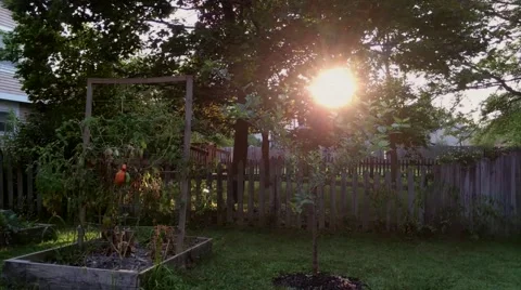 Sunrise Timelapse from Columbus, Ohio Stock Footage
