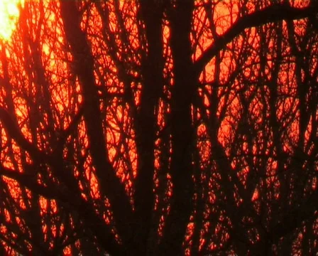 Sunrise timelapse Video stock 671158