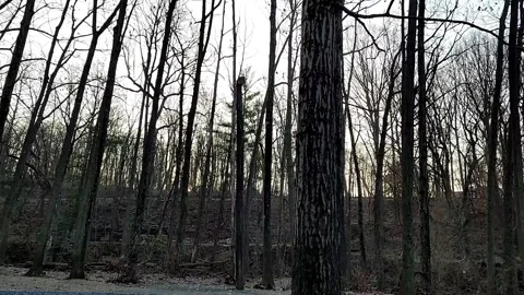 Sunrise timelapse Stock-Footage 144856155