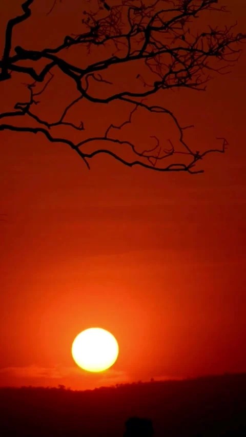 Sunrise timelapse, nature Stock Footage 314986246