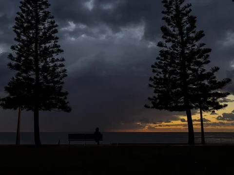 Sunrise timelapse over the ocean with people walking between pine trees Stock Footage