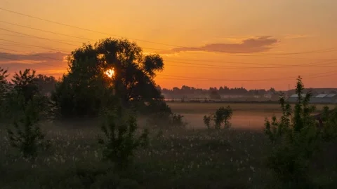 Sunrise timelapse shot with trees, meadows and forests in the background Stock Footage 197326691