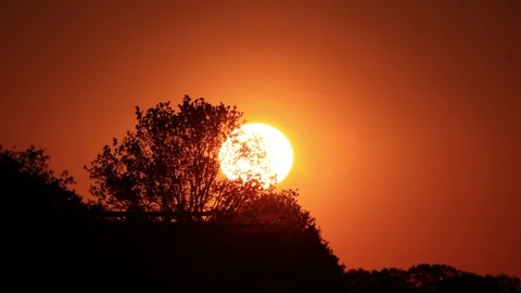 Sunrise timelapse Sun Rising Behind Of Trees Stock Footage 244264239
