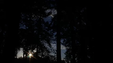 Sunrise TL 01 Stock Footage 106826682