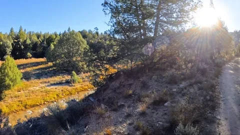 Sunrise on the Trail to the Upper Narrows at Chamberlain Ranch, Zion National Stock Footage 278193048