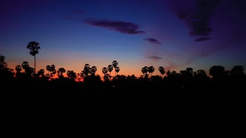 Sunrise on a train Stock Footage 115235976