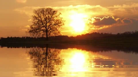 Sunrise with tree Video stock 10785721