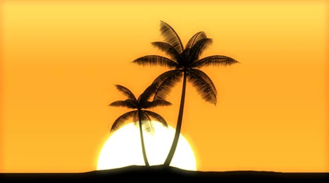 Sunrise tree palma Stockbeeldmateriaal 31900969