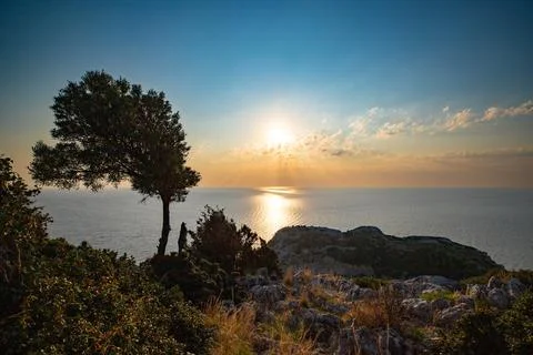 Sunrise with a tree Foto stock