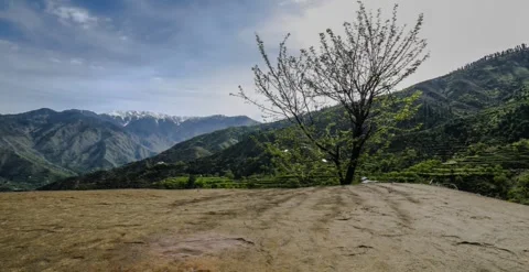 Sunrise, tree, tree reflection, mountains, clouds timelapse Stock Footage 247132913