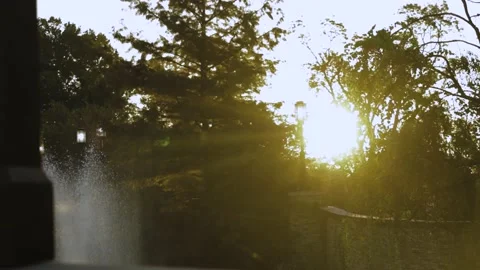 Sunrise &amp; Trees (2 clip sequence) Stock-Footage 163545885