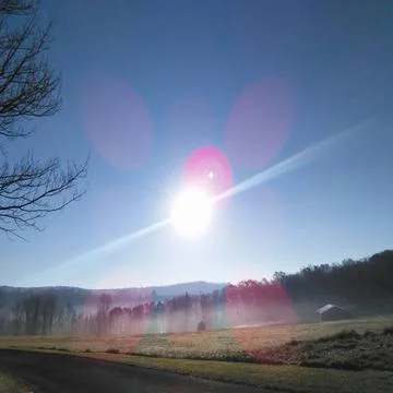 Sunrise with trees in the background Stockfoto's