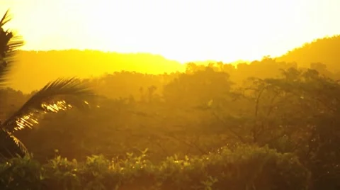 Sunrise Tropical 2 HD Stock Footage 7901360