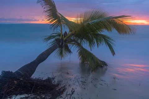 Sunrise on the tropical beach. Stock Photos