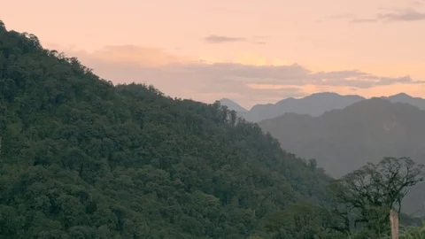 Sunrise in the tropical mountains Stock Footage 71124919
