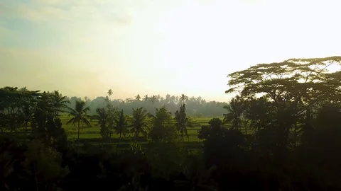 Sunrise Ubud Stock Footage 106695944