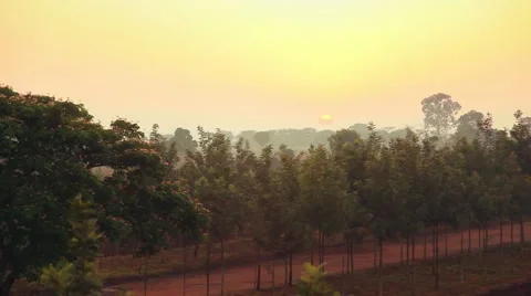 Sunrise in Uganda Vídeos de archivo 50619943