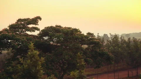 Sunrise Uganda pan Vídeos de archivo 50619917