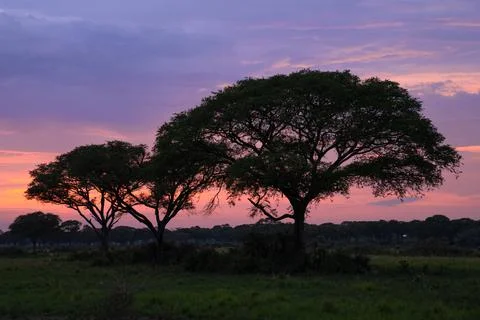 Sunrise, Uganda Stock Photos