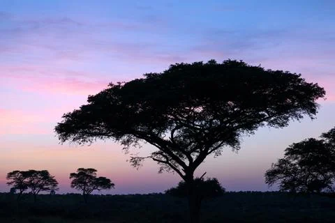 Sunrise, Uganda Stock-Fotos