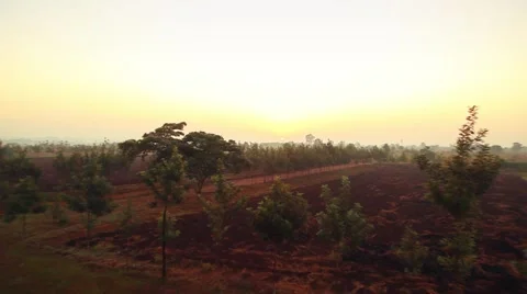 Sunrise in Uganda push Vídeos de archivo 50619908