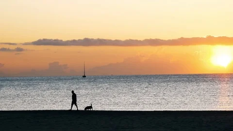 Sunrise in Valencia Stock Footage 123389740