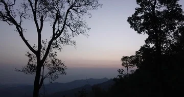Sunrise in the valley with tree branch in foreground time lapse shot Stock Footage 85847553