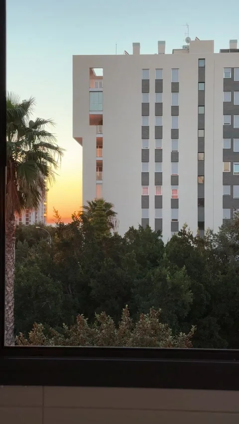 Sunrise view from a bathroom window framing palm trees and buildings in Alicante Stock Footage 297373594